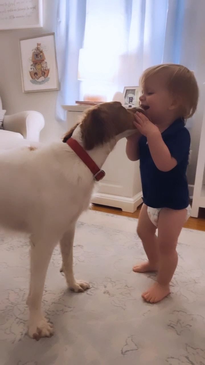 these two sure do make life fun 👼🏼🫶🏽🐶 I love their little relationship and how they are literally inseparable - and also, Judson’s love for his little Bible 🥹🤍✨ #judsonandred 

#LTKbaby #LTKhome #LTKfamily