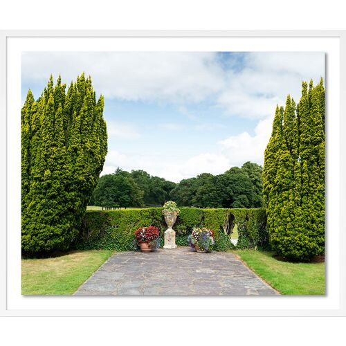 Tommy Kwak, Altamont Gardens Photograph, Ireland | One Kings Lane