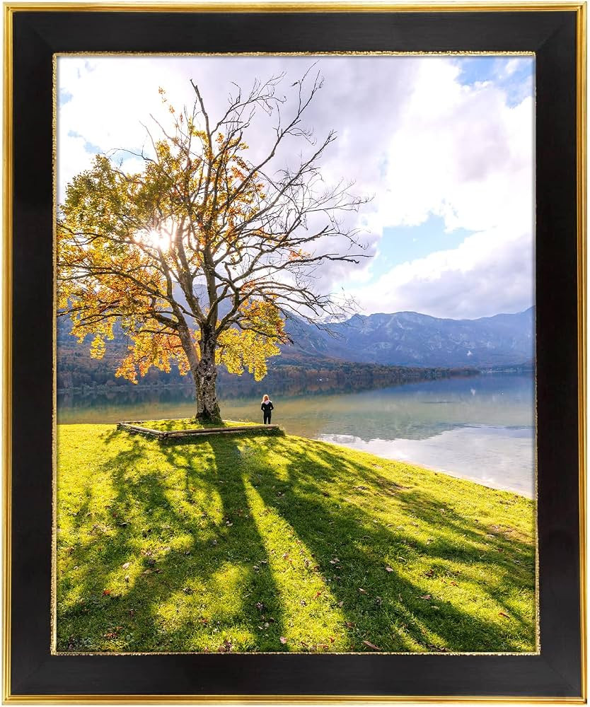 Space Art Deco, 16x20 Picture Frame without Mat for 16x20 Poster/Photo Frame Shatter-Resistant Gl... | Amazon (US)