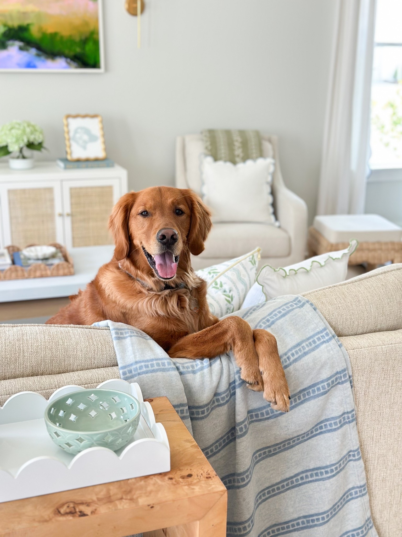 The new lightweight ChappyWrap blankets are Sully approved 🐶

Lightweight blanket, summer blanket, living room decor, living room design, coastal Grandmillennial, pet friendly, dog friendly, blue and white blanket 

#LTKStyleTip #LTKHome
