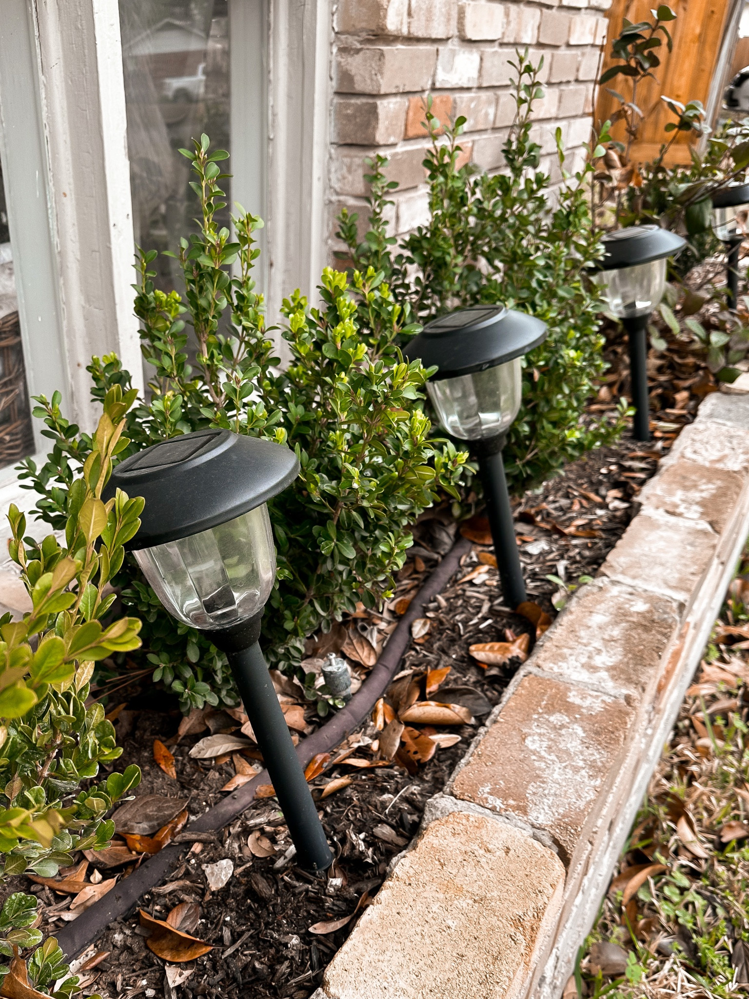 Our solar landscape lights are on sale! Get 8 for $84.97 and they come in 4 colors! ☀️ 

#LTKunder100 #LTKsalealert #LTKhome