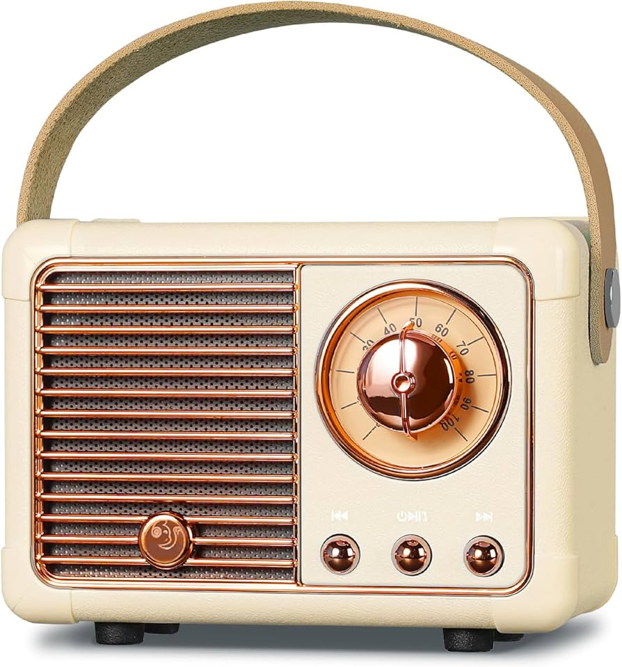 PRUNUS J-999 Mini Bluetooth Lautsprecher mit Radio FM, Retro Radio Bluetooth Speaker Wiederauflad... | Amazon (DE)