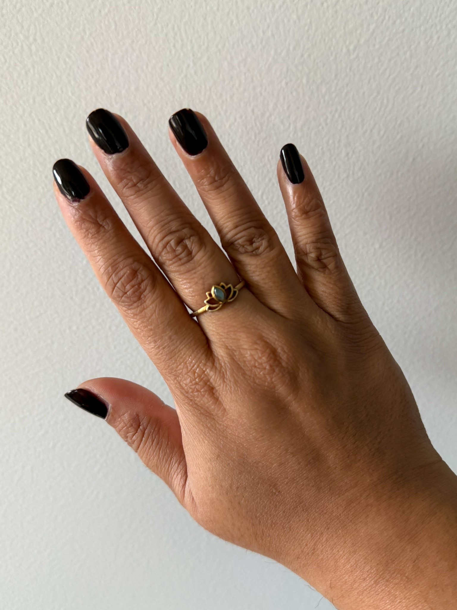 Nails of the week, dark brown nail polish, at home manicure, lotus ring, gold jewelry

#LTKBeauty #LTKGiftGuide #LTKHoliday