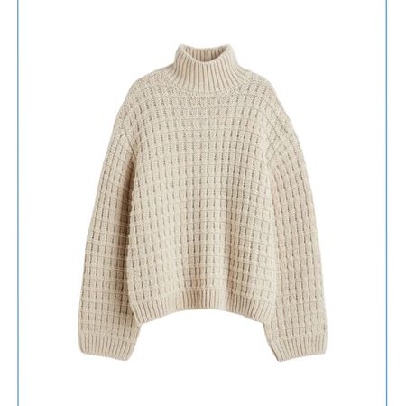 $40 mock turtleneck cream sweater 

#LTKSeasonal #LTKunder50