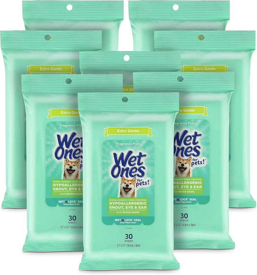 Wet Ones for Pets Extra Gentle Dog Wipes with Witch Hazel for Snout, Eye, Ear, Fragrance-Free Dog... | Amazon (US)
