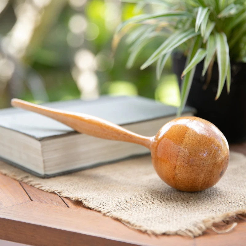 Wooden maraca, 'Sunny Tune' | NOVICA