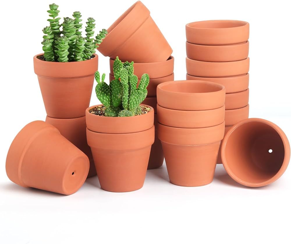 20Pack 3 inch Terra Cotta Color Solid Clay Indoor Mini Flower Pots | Amazon (US)