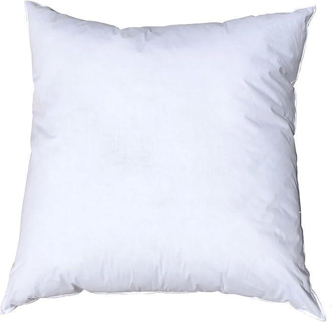 Pillowflex Premium Polyester Pillow Insert - 20"x20" Pillow Form — Machine Washable — Large S... | Amazon (US)