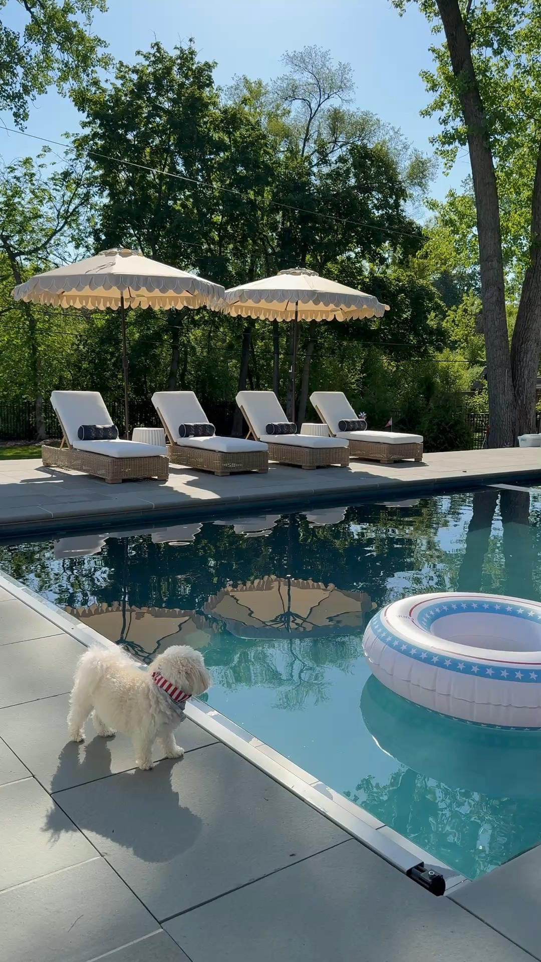 Patio and pool furniture and decor sources! Love these chaise lounges so much!!

#LTKHome #LTKSaleAlert