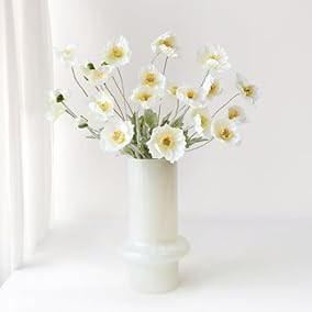 Your Orders | ZYTUYO 6PCS White Poppy... | Amazon (US)