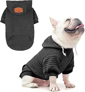 BEAUTYZOO Dog Hoodie for Small Medium Large Dogs, Winter Fall Warm Dog Clothes for Puppy S M Size... | Amazon (US)