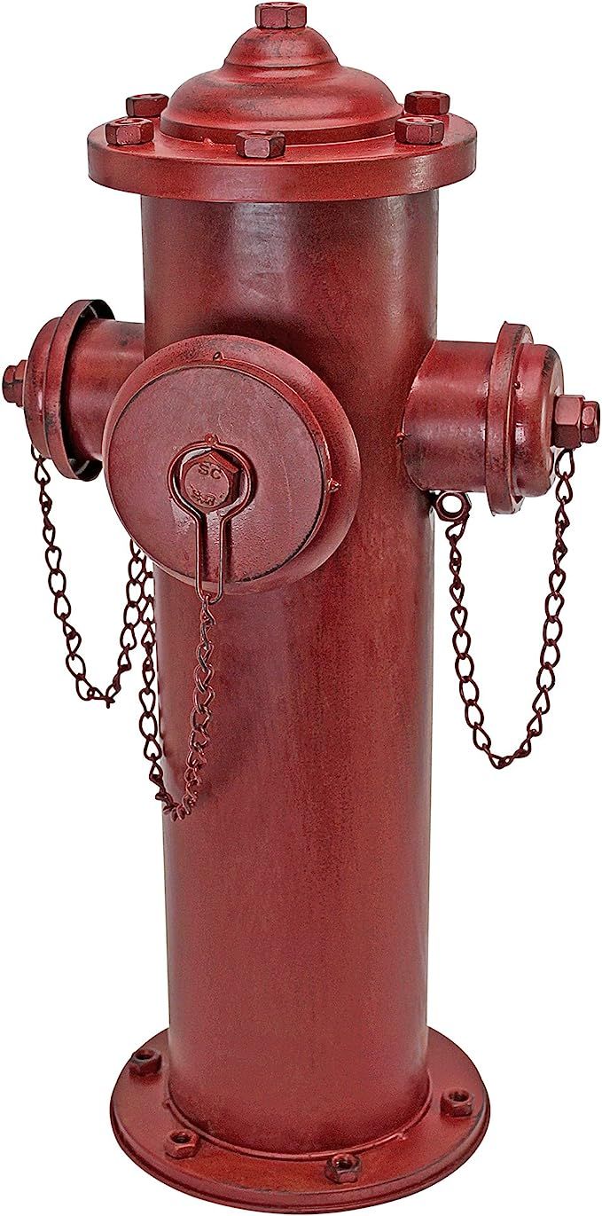 Design Toscano DC122012 Fire Hydrant Statue Puppy Pee Post and Pet Storage Container, Large, full... | Amazon (US)