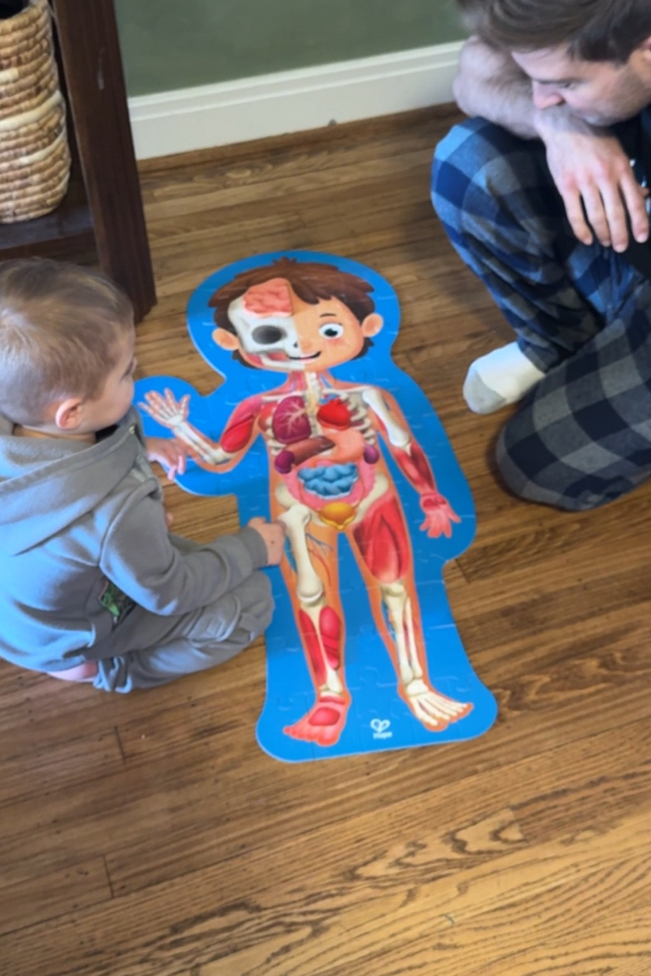 Anatomy Puzzle for kids  