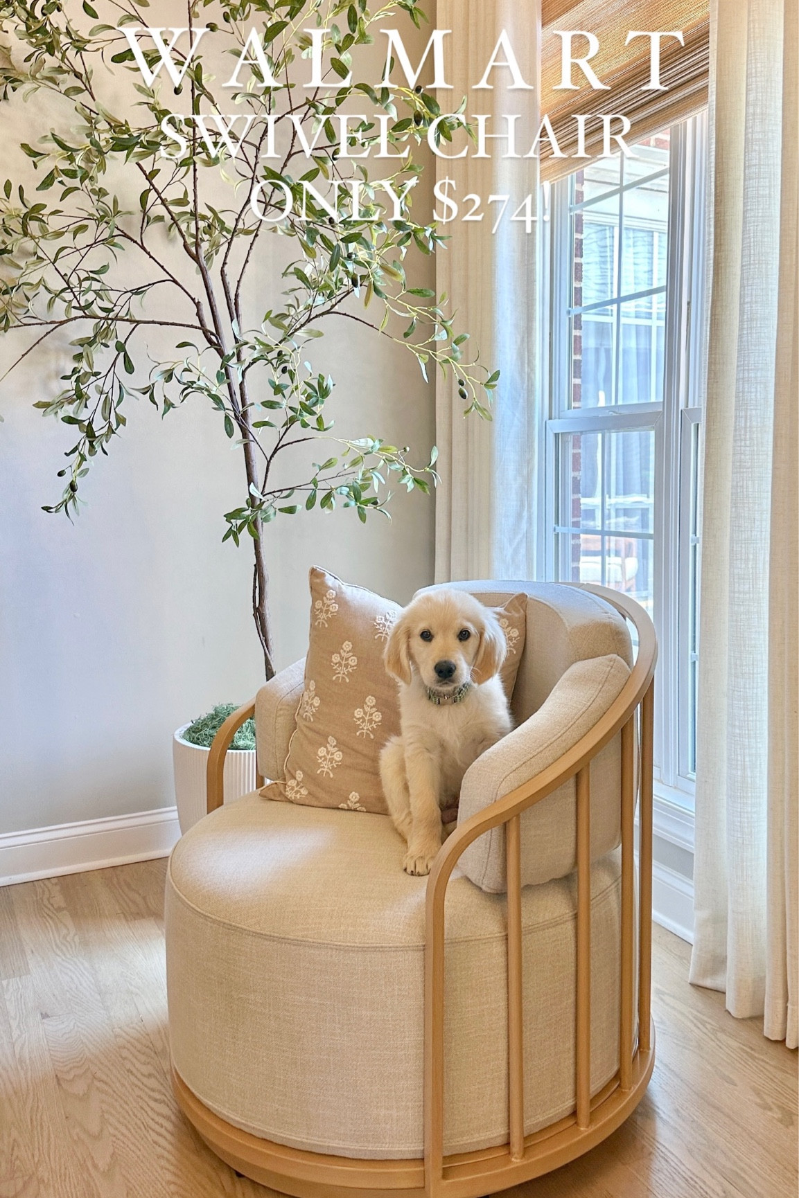 $274 swivel chair from Walmart 🤩

Can you believe that price?  

Also linking my fav olive tree here that’s seen behind too. I have the 7ft one. 

#walmarthome #walmartfinds #swivelchair #homedesign #homestyle #homestyling #interiordesign #affordablehomedecor #homedecor #homestyling  #neutralhome #myneutralhome #homedecorating #boujeeonabudget #homedecorfinds #livingroomdecor #livingroom #bedroomdecor #diningroomdecor #organicmodern #modernorganic #ltkhome

#LTKhome #LTKsalealert