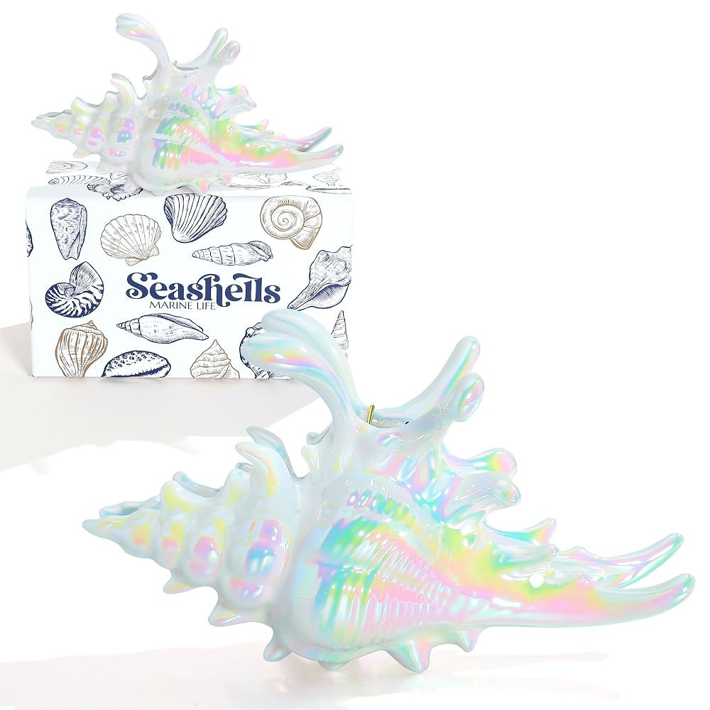 LILIE&WHITE Colorful Conch Hair Clips For Women Large Shell Claw Clips For Thick Hair Fashion Mer... | Amazon (US)