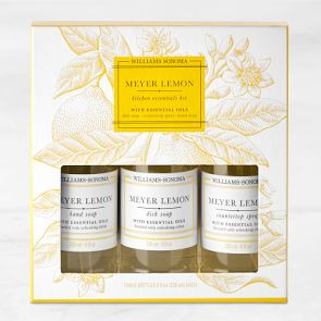Williams Sonoma Meyer Lemon Kitchen Essentials Kit | Williams-Sonoma