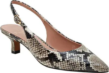 Cecil Slingback Pointed Toe Kitten Heel Pump | Nordstrom