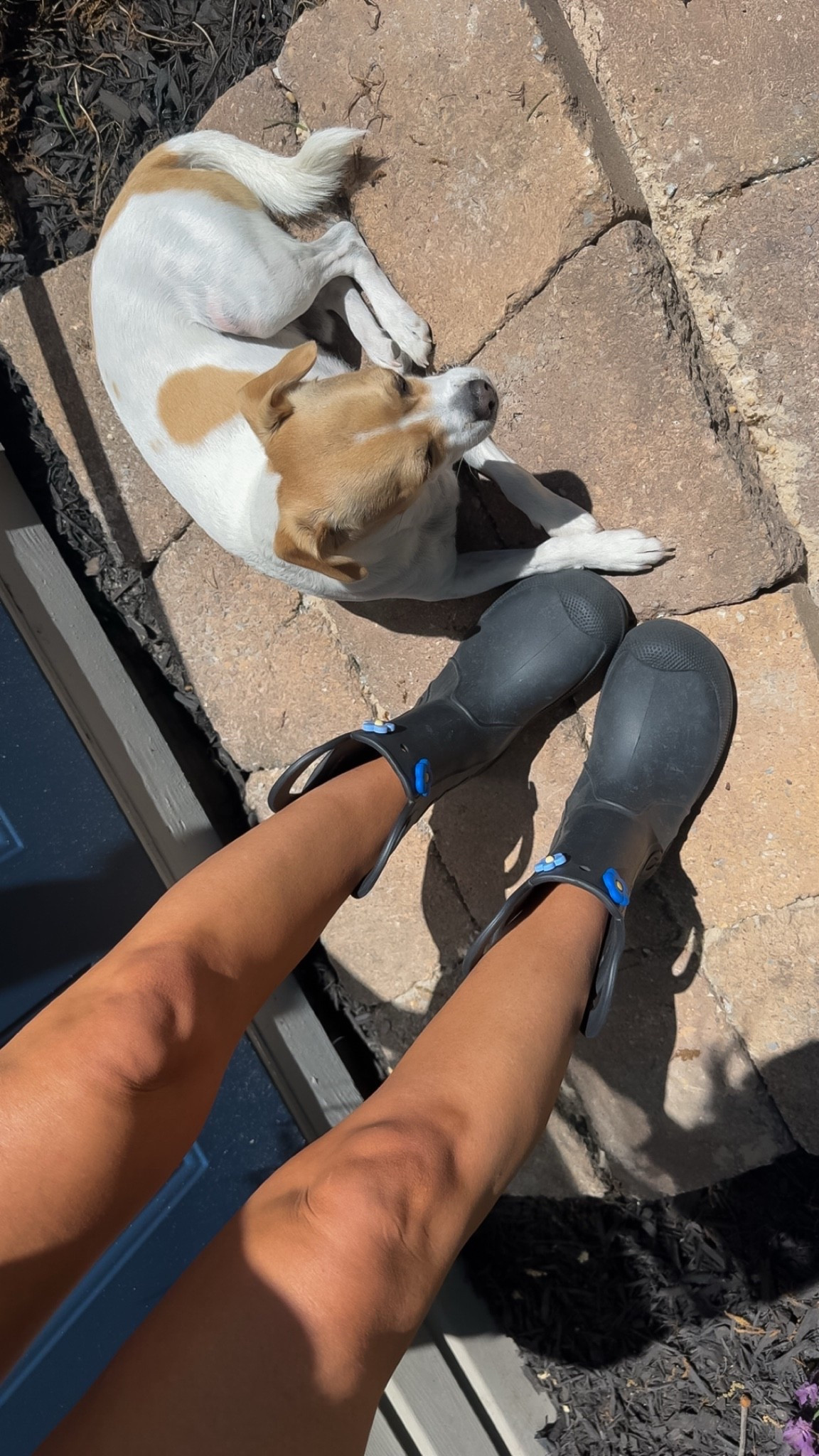 My favorite boy and my favorite boots 🫶🏻☺️

Crocs, garden, outdoors, gardening boots, rain boots, booties, ootd, flowers, spring, summer, 
shoes, cute, pets

#LTKdayinmylife #LTKootd #LTKActive