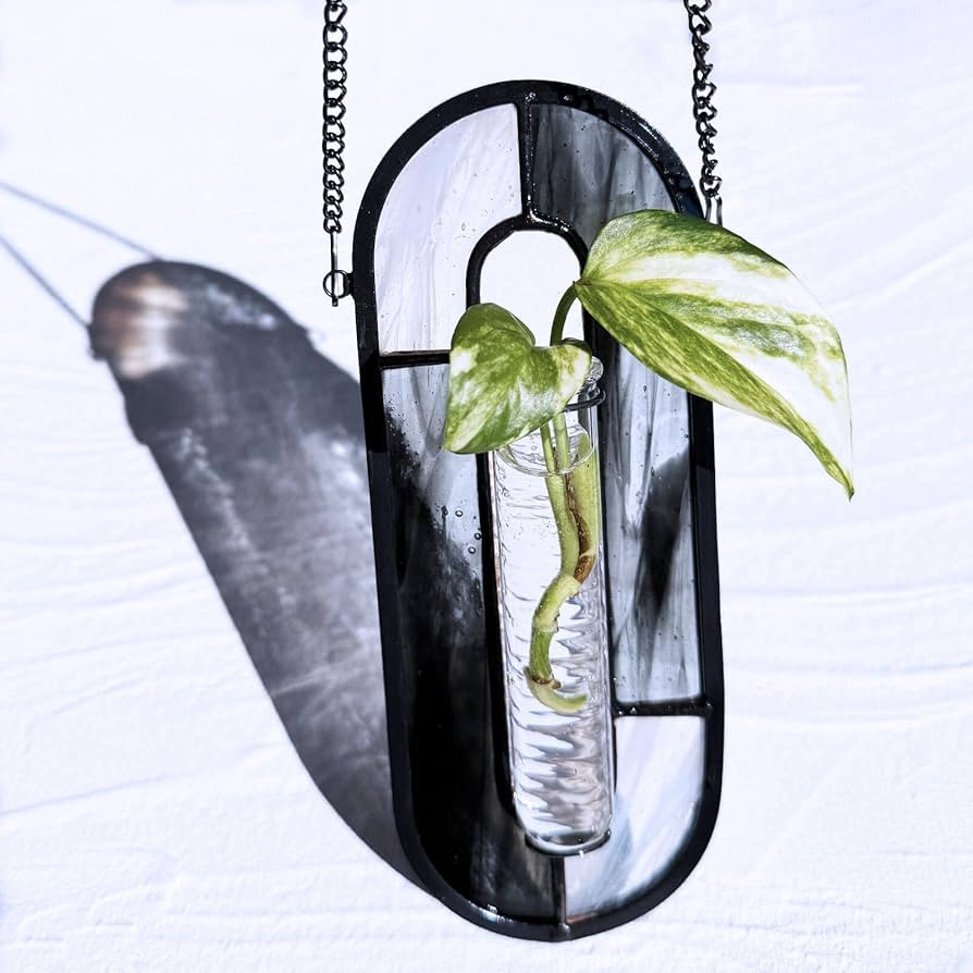 LITMIND Stained Glass Propagation Station - Handcrafted Translucent Suncatcher Planter with 2 Tub... | Amazon (US)