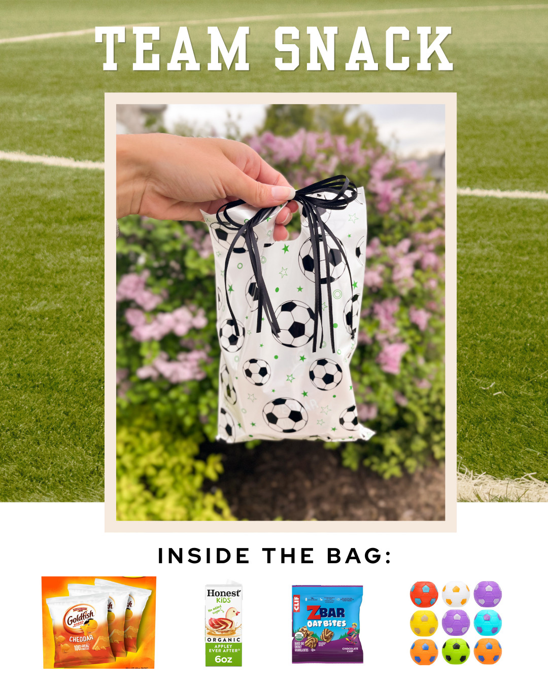 Sports team snack idea!

All Amazon! Just swap out bag pattern and toy to match your sport!

 

 #LTKKids