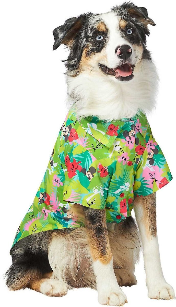 DISNEY Mickey Mouse Hawaiian Dog & Cat Camp Shirt, Large - Chewy.com | Chewy