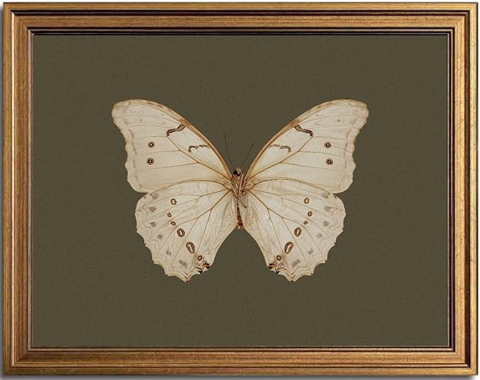 KBKBART Vintage White Butterfly Wall Art, Framed Wall Art Insect Pictures Wall Decor Aesthetic, D... | Amazon (US)