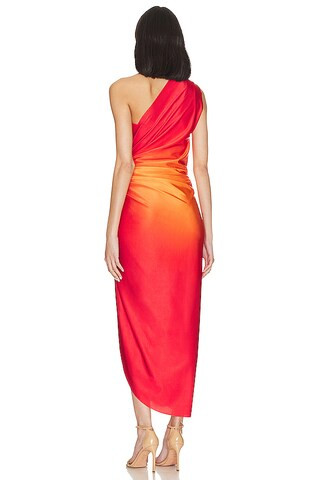 Nikka Dress
                    
                    Baobab | Revolve Clothing (Global)