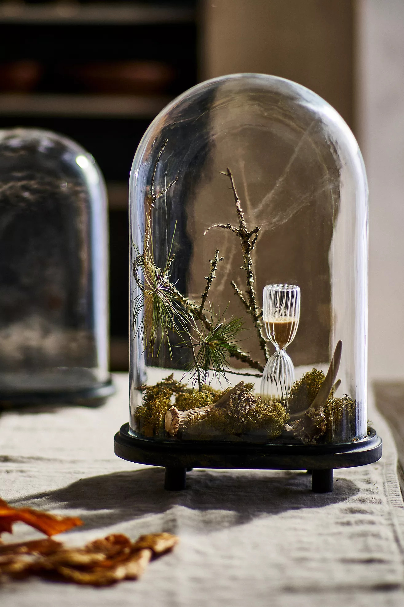 Oval Cloche with Distressed Wood Base | Anthropologie (US)