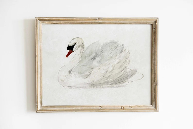 Muted White Swan Vintage Print Antique Nursery Wall Decor Minimalist Neutral Home Farmhouse Decor... | Etsy (US)