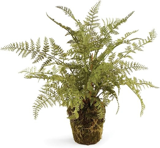 Napa Home & Garden Conservatory Soft Fern Drop-in 13" | Amazon (US)