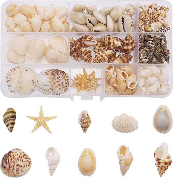 yaokan 10 Styles Natural Sea Shells & Starfish Set - Assorted Pre-Drilled Beach Seashells for DIY... | Amazon (US)