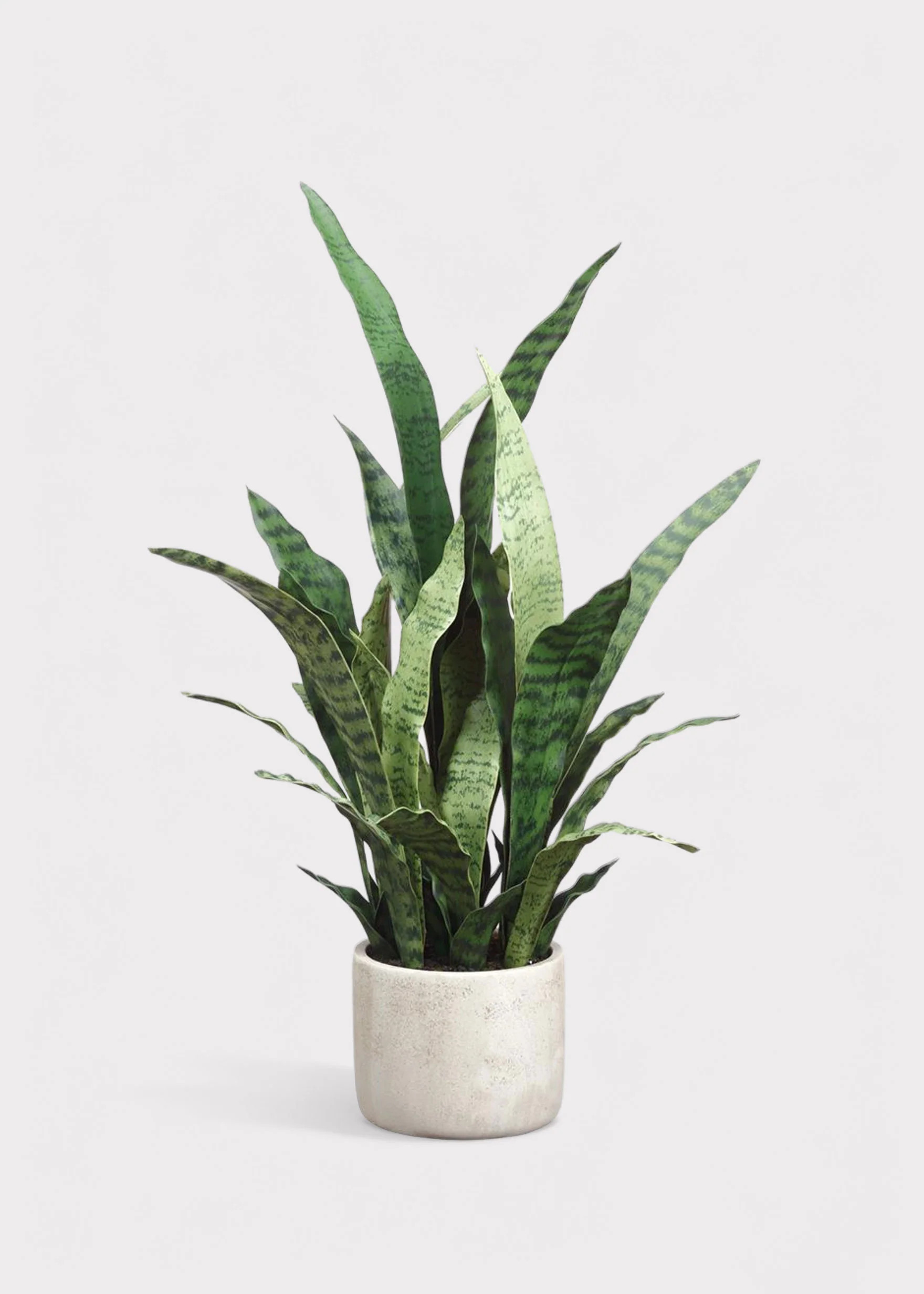Artificial Potted Snake Plant in Cement Pot - 28 | Afloral