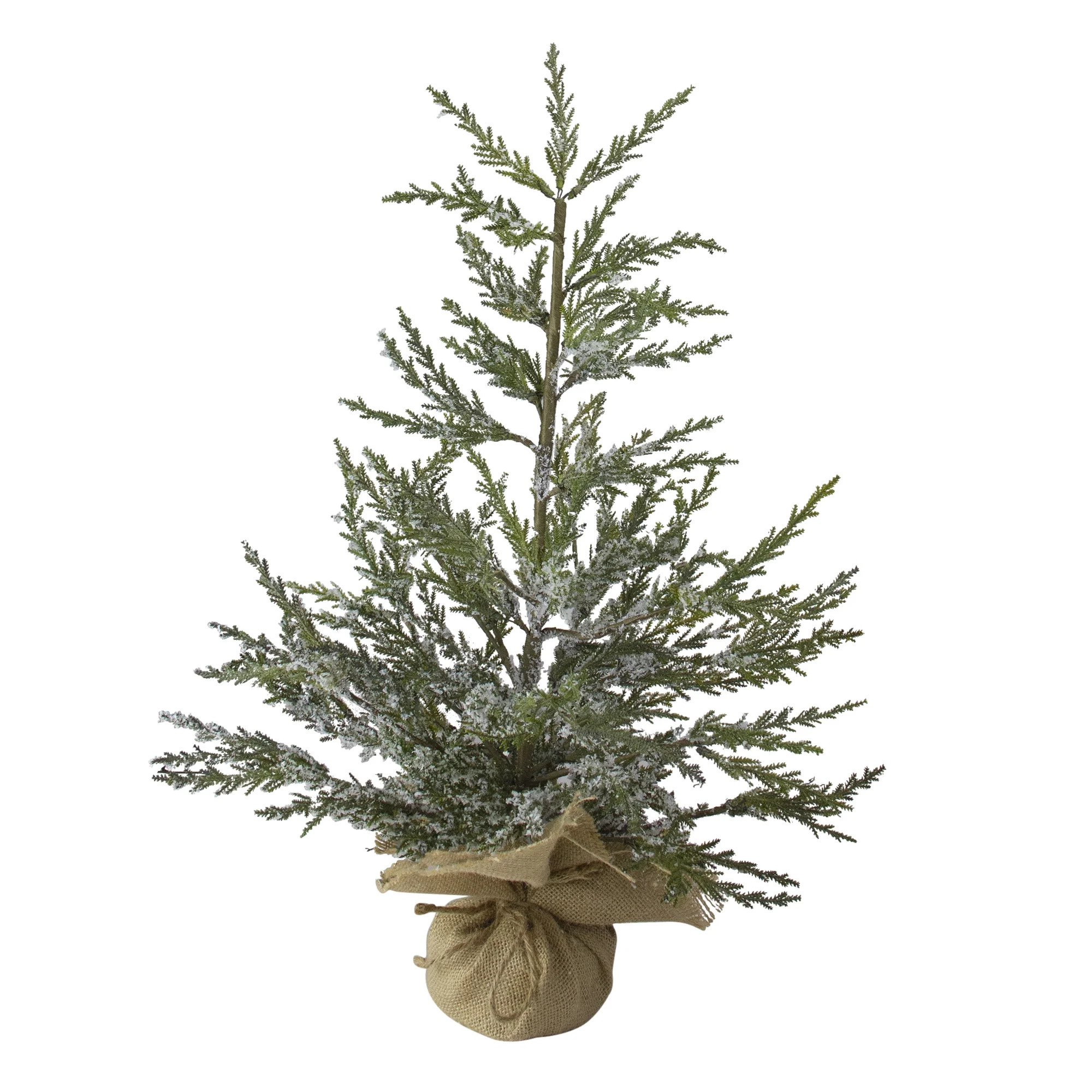 Northlight Real Touch™️ Potted Medium Iced Cedar Artificial Christmas Tree - 24" - Unlit - Wa... | Walmart (US)