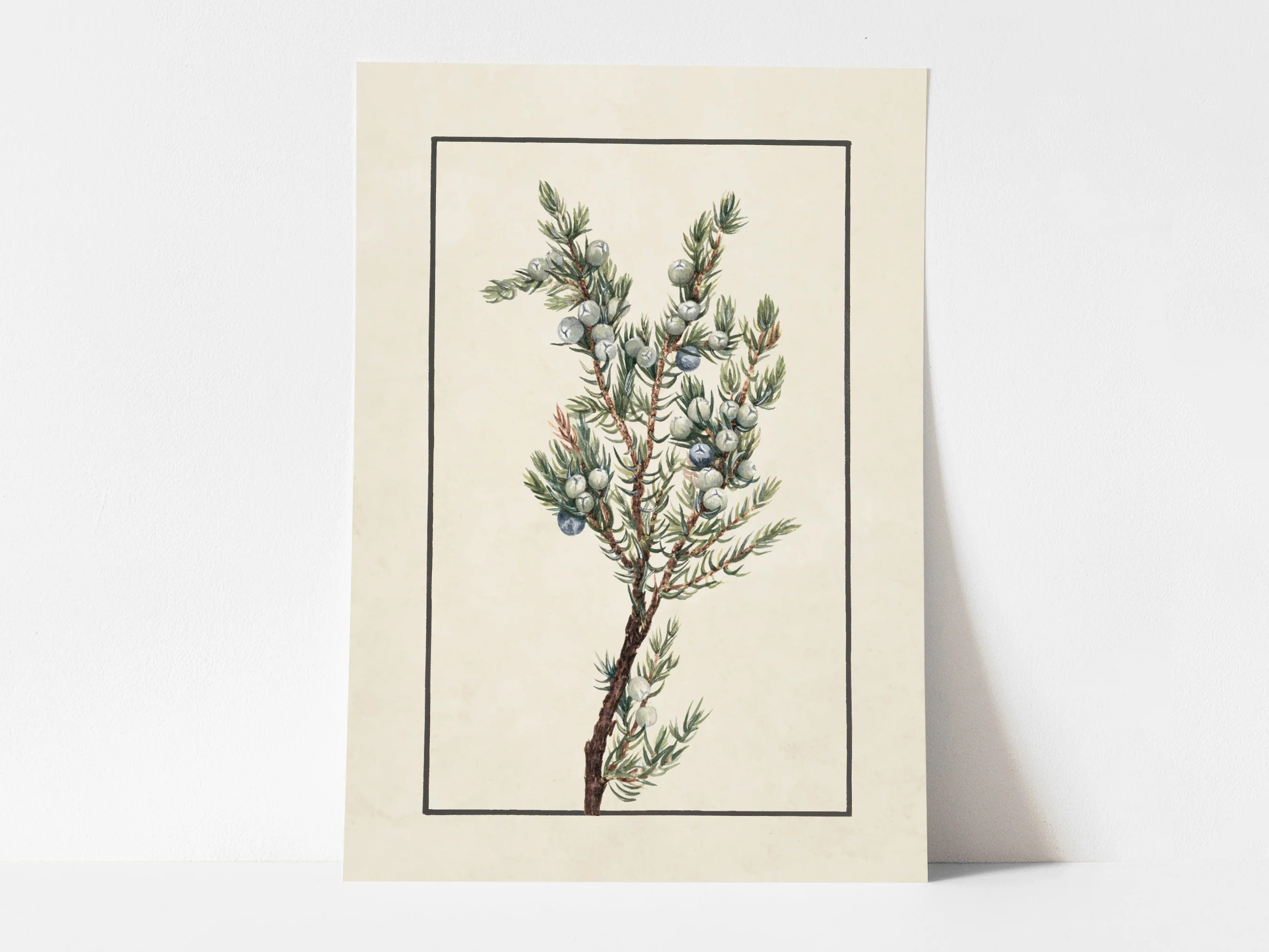 Winter Branch | Heirloom Print Shop