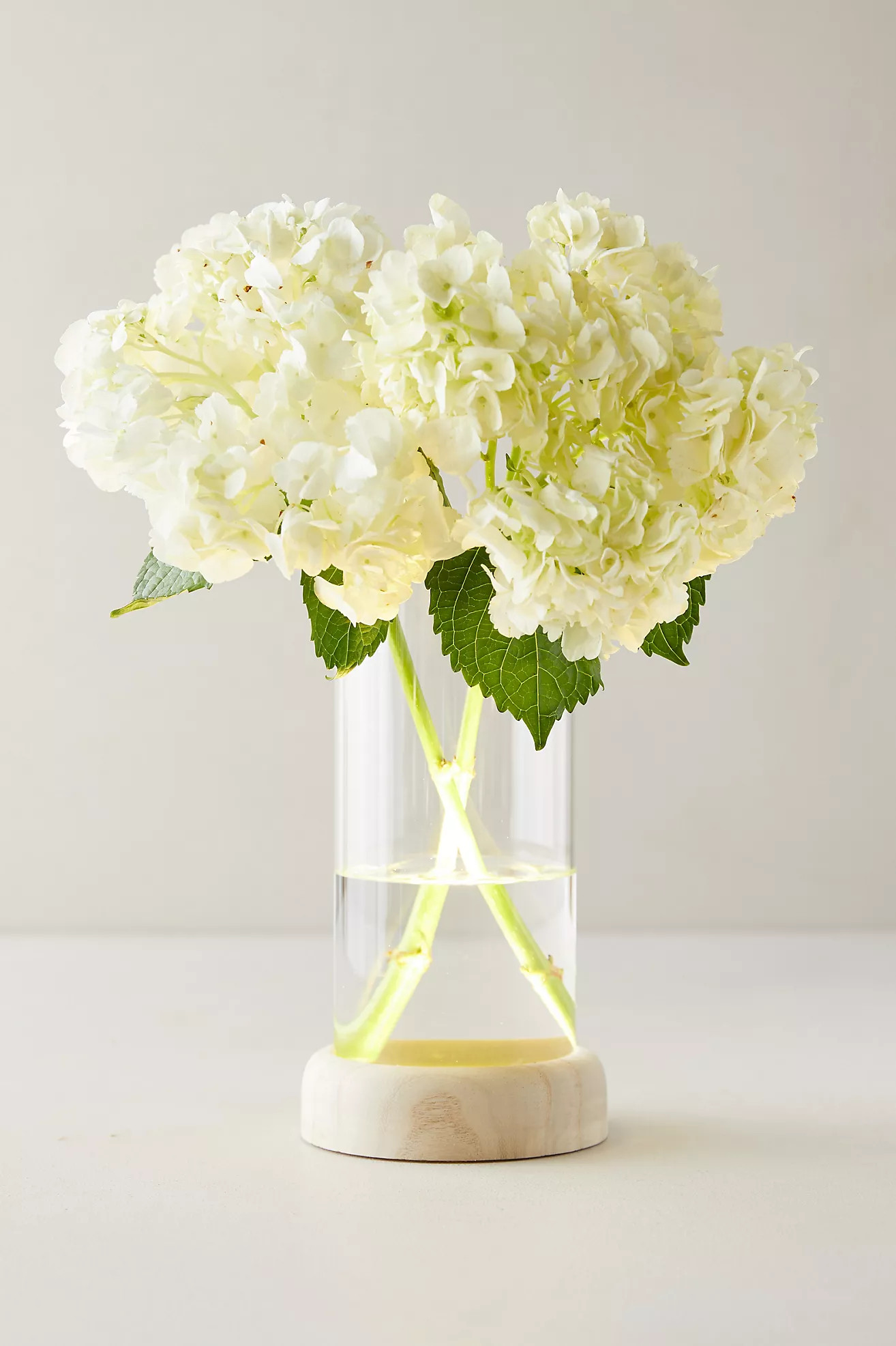 LED Vase on Wood Stand | Anthropologie (US)