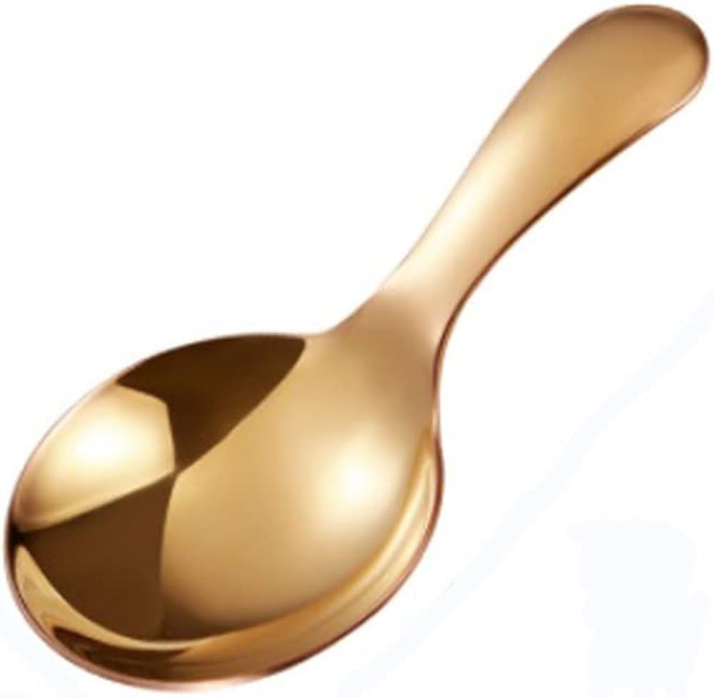 wjq&linyuzi 1Pc Short Handle Dessert Spoon Stainless Steel Sugar Salt Spice Spoon Condiment Tea C... | Amazon (US)