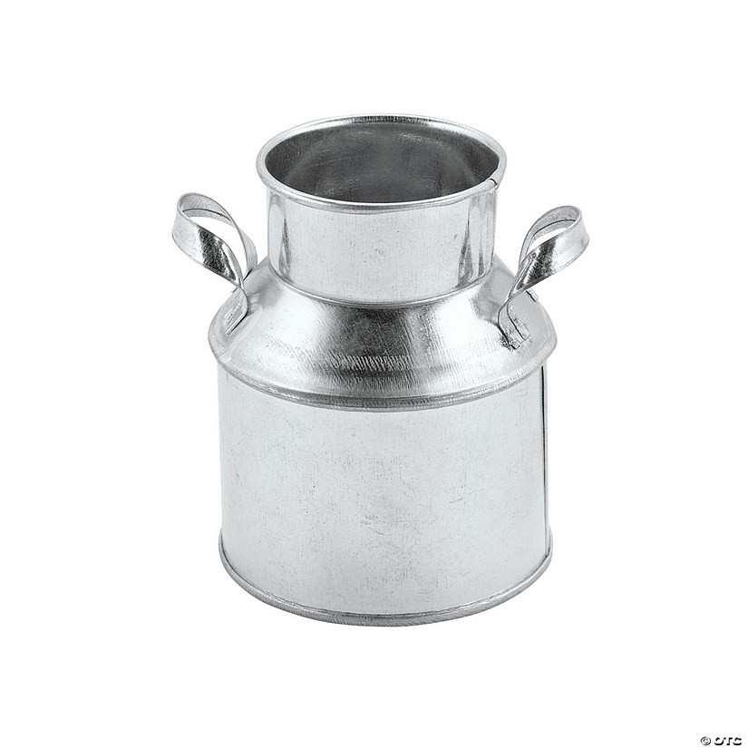 Mini Galvanized Jugs - 12 Pc. | Oriental Trading Company