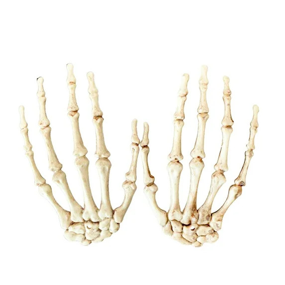 1 Pair Halloween Skeleton Hands Realistic Life Size Plastic Skeleton Hands,Fake Human Hand Bone S... | Walmart (US)