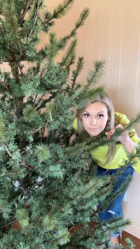 Making my dream Christmas tree! 

When you can’t find the exact artificial tree you want, you gotta make it yourself. 

I started with a 7’ tree then bought a second 4’ tree to harvest its branches. 

I’ve linked different buying options of the SAME tree. 
I’m loving the shape!

#LTKHoliday #LTKhome