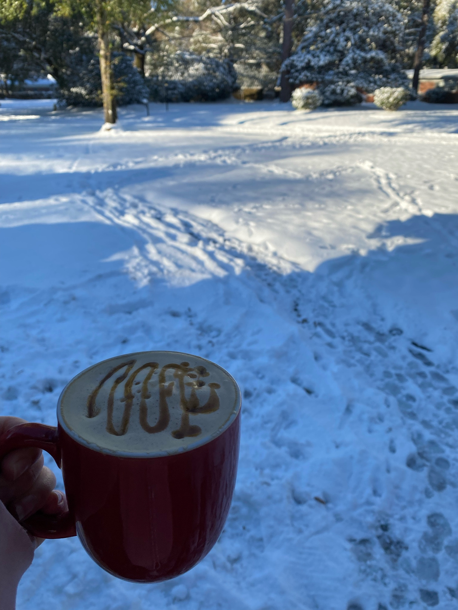 Cinnamon caramel latte
•soak dates to soften
•Blend pitted dates & maple syrup to make caramel 
•froth up milk, some caramel, and Ceylon cinnamon on the heat setting
•combine milk & coffee and top with drizzled caramel  
Recipe, red mug, coffee mug, Vday mug, Valentine’s Day mug, recipe ideas

#LTKHome #LTKFindsUnder50