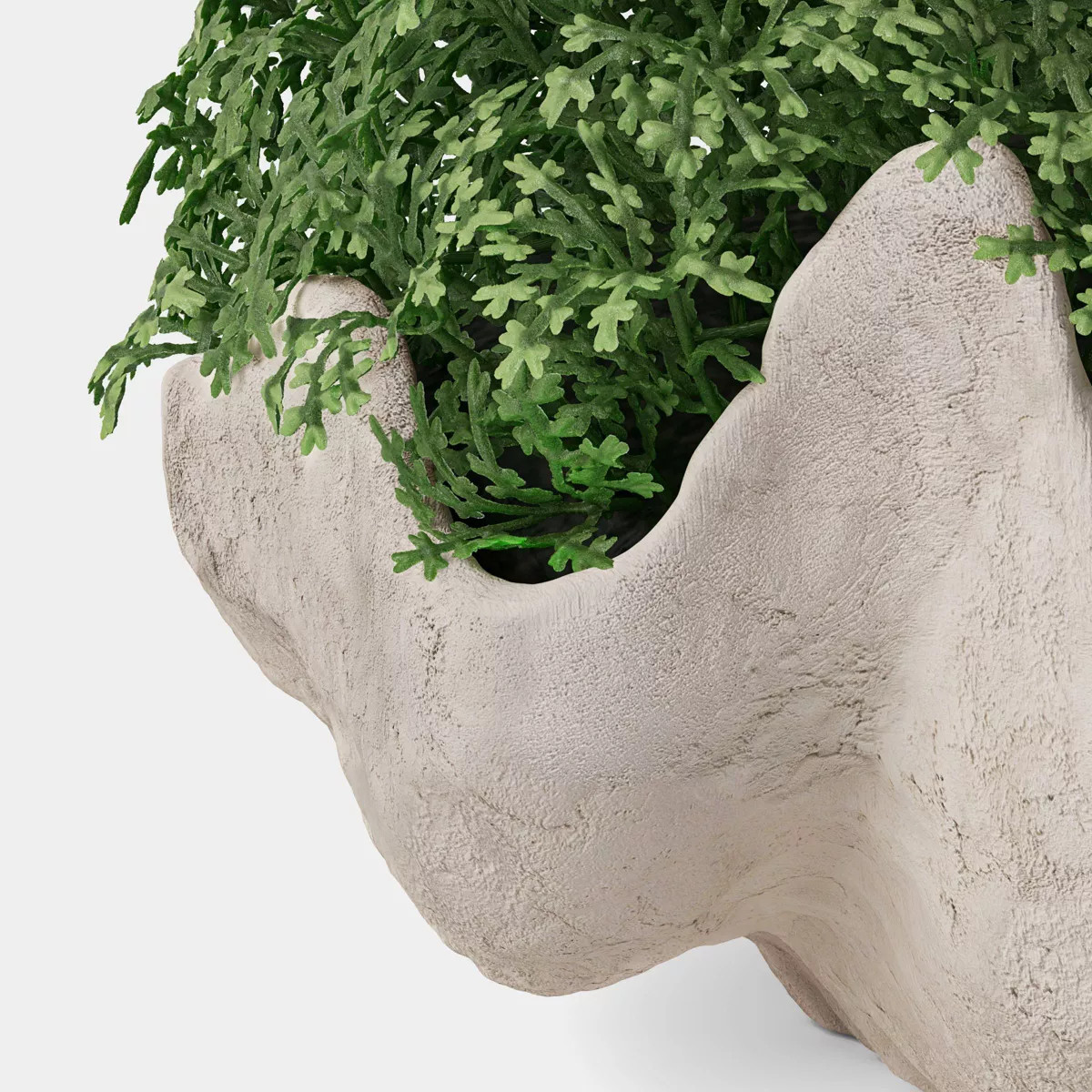 5" Shell Moss Bowl Outdoor Patio Tabletop Artificial Plant - Threshold™ designed with Studio Mc... | Target