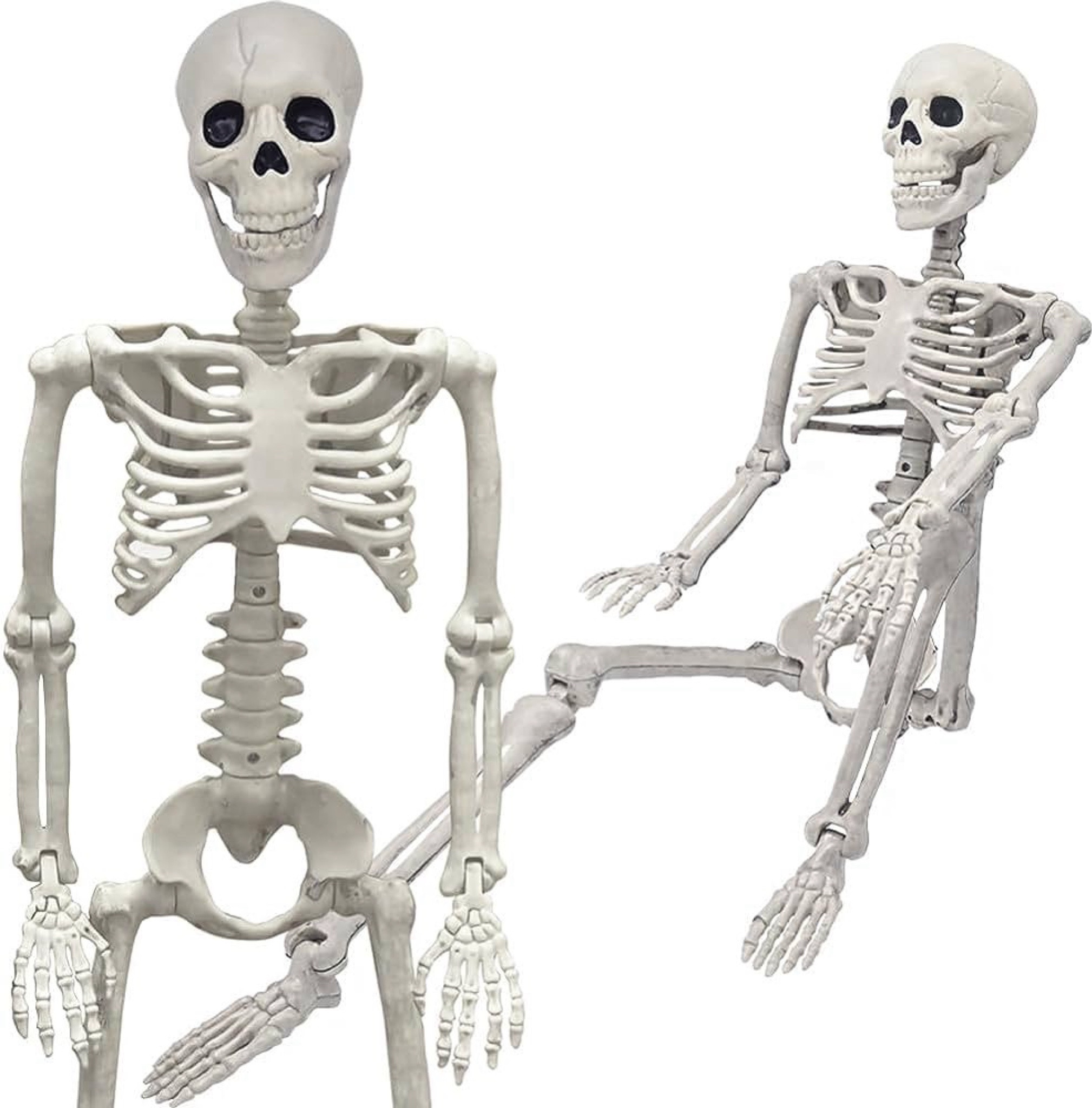 3 ft skeleton in Amazon! Embrace spooky season and click the link! 💀

#LTKHalloween #LTKSeasonal #LTKParties