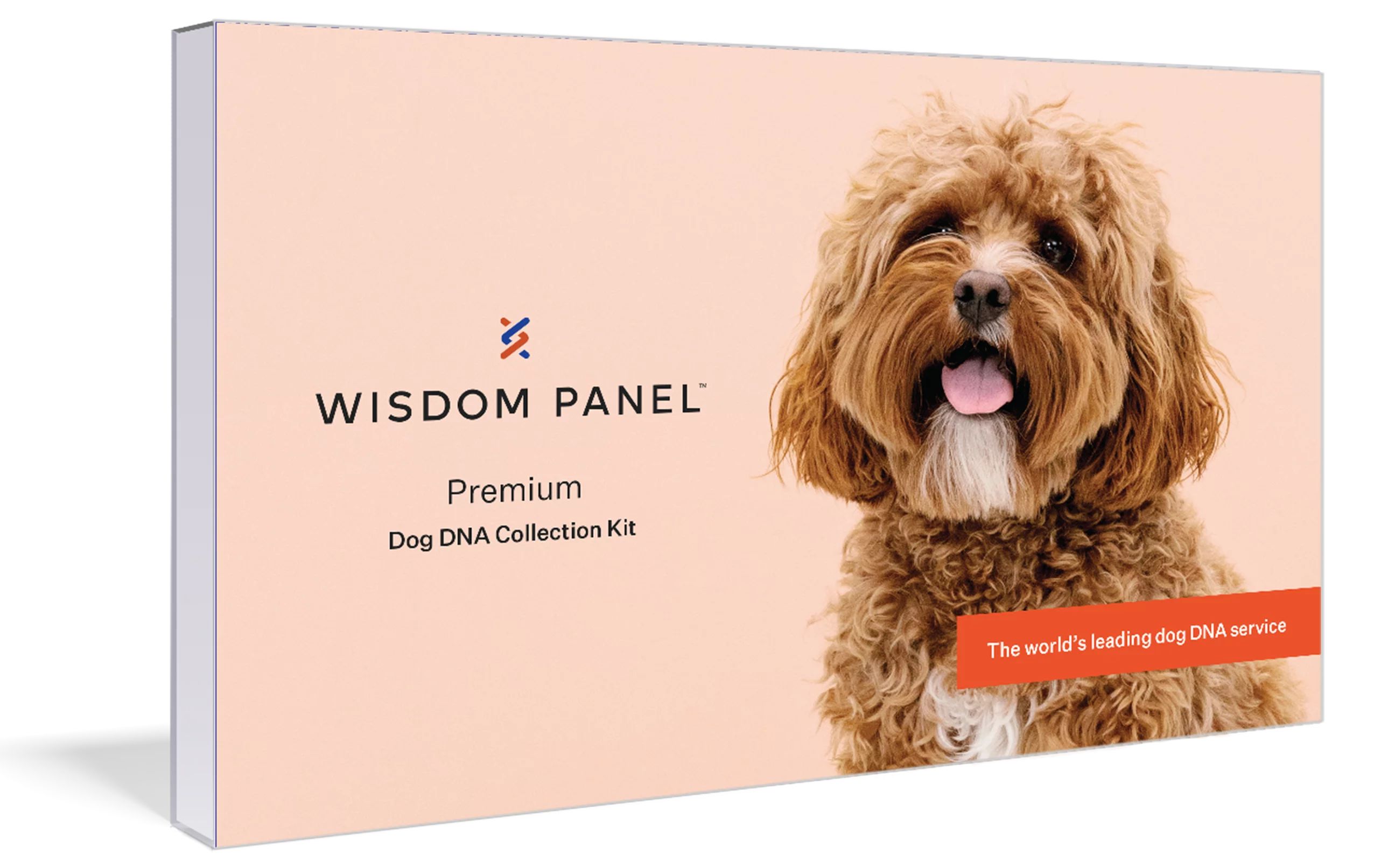 Wisdom Panel Premium Breed Identification & Health Condition Identification Dog DNA Test - Walmar... | Walmart (US)