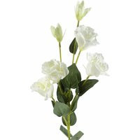 80cm Artificial White Wild Rose Stem - 6 Flowers | Debenhams UK