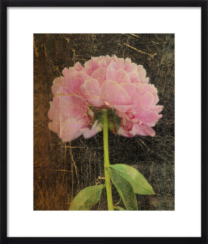 Pink Flower | Artfully Walls