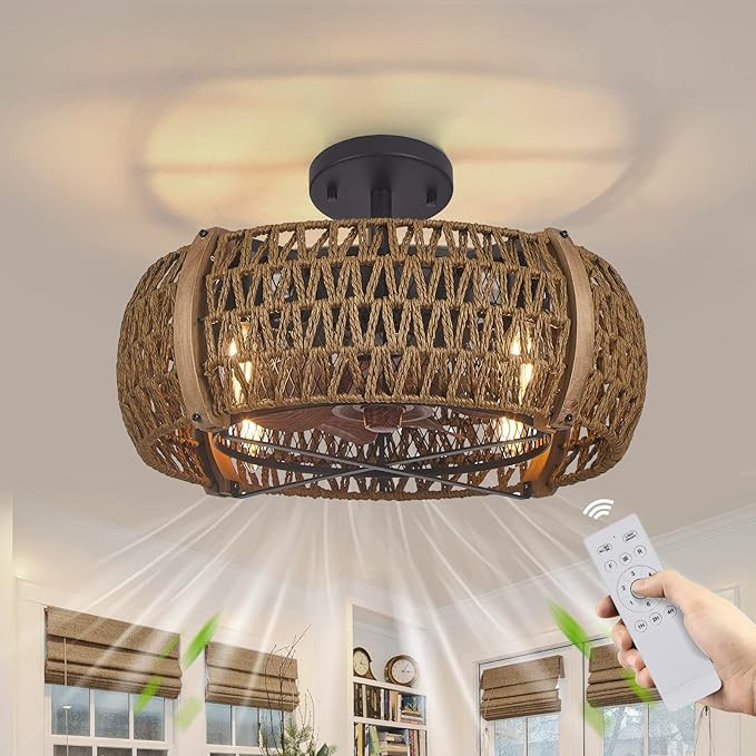 DRNANLIT Caged Ceiling Fan with Lights,Farmhouse Bladeless Flush Mount Ceiling Fan with Light,Sma... | Amazon (US)