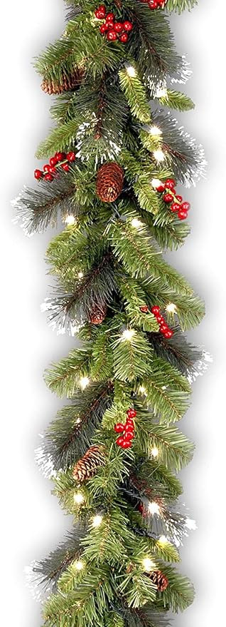 National Tree Company Pre-Lit Artificial Christmas Garland, Green, Crestwood Spruce, White Lights... | Amazon (US)