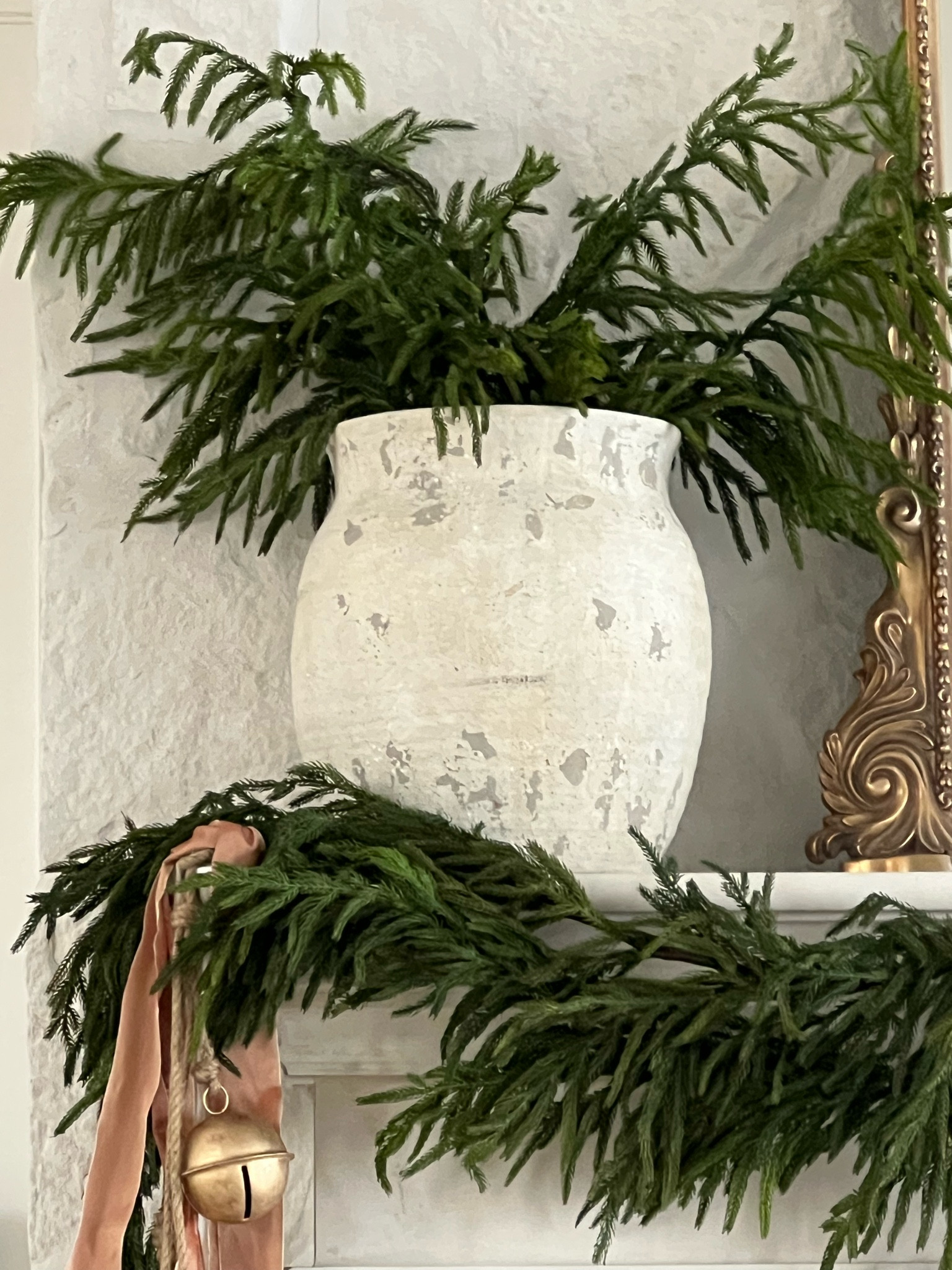 Only 16 packs of these Norfolk branches left!  They are great to add to garland, put in a case, or add to a bowl!  Pack of 12 stems for $59!

#LTKhome #LTKHoliday #LTKSeasonal