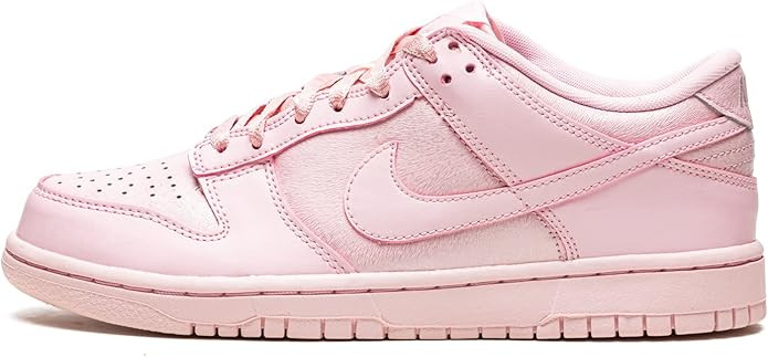 Nike Kid's Shoes Dunk Low SE (GS) Free 99 Cents CZ2496-001 | Amazon (US)