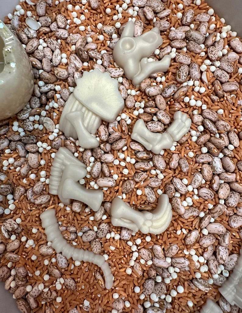 Dinosaur Fossil Bones Skeleton | Sensory Resin Loose Parts | Dinosaur Dig Sensory Play | Sensory ... | Etsy (US)